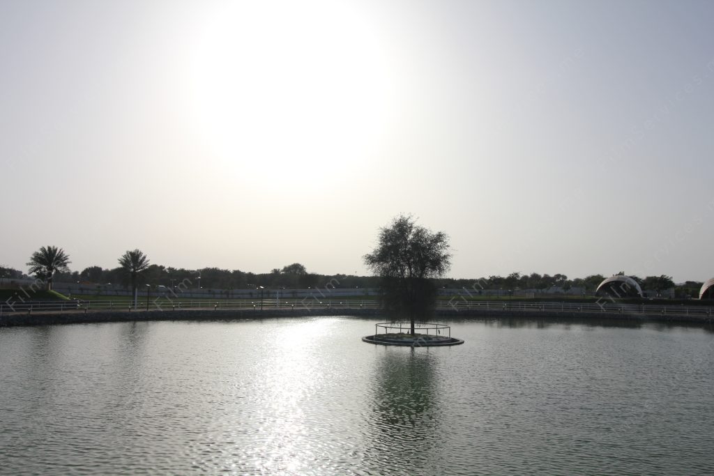 Lake with island tree